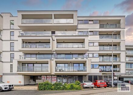 Appartement te huur in DENDERLEEUW